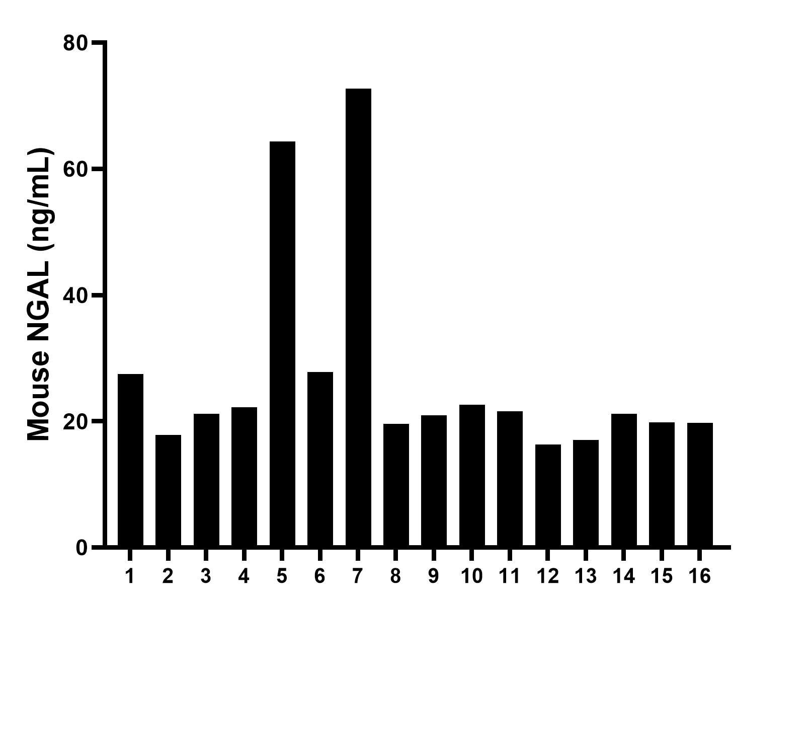 Serum of sixteen mice were measured. The NGAL concentration of detected samples was determined to be 27.0 ng/mL with a range of 16.3 - 72.7 ng/mL.